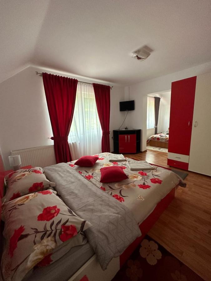Villa Casa Ika&Matei à Borşa Extérieur photo