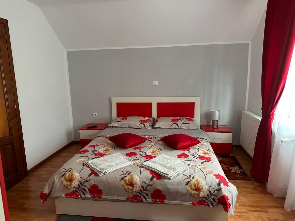 Villa Casa Ika&Matei à Borşa Extérieur photo